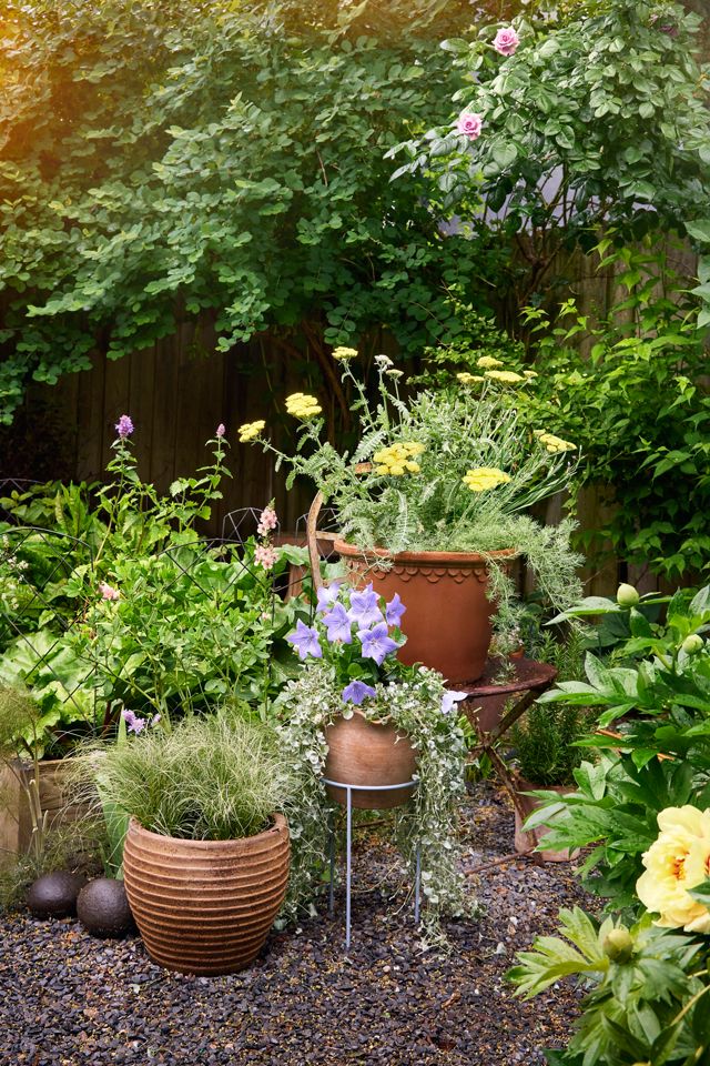 Terracotta Pie Crust Rim Planter, Round #7