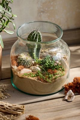 Succulent Terrarium Planting Kit