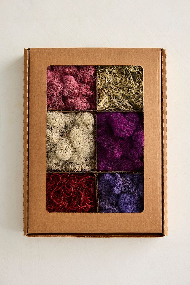 Preserved Moss Collection, Sweetheart #1