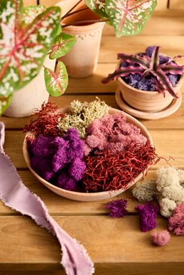 Southside Crazy Keiki Cloning Paste | Anthropologie