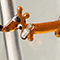 Dachshund