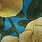 Blue Pattern