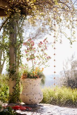 Barnacle Pluto Planter