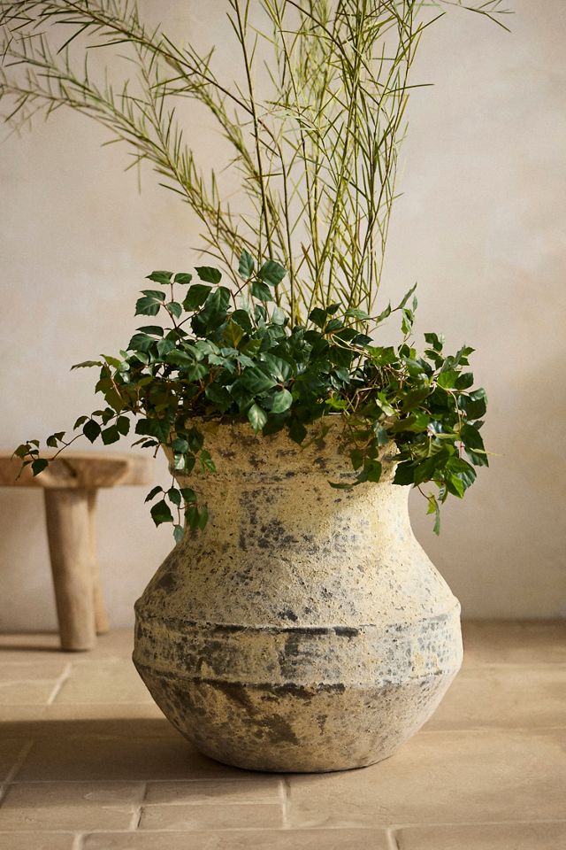 Barnacle Pluto Planter #3