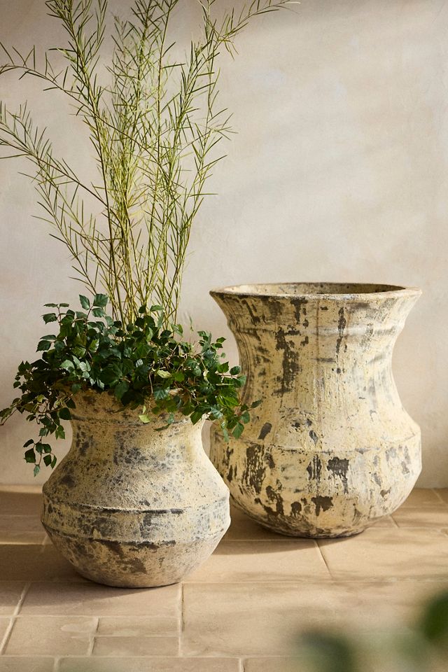 Barnacle Pluto Planter #2