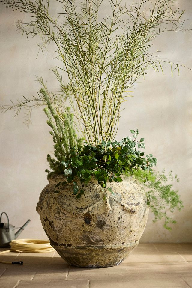 Barnacle Potpourri Planter #3