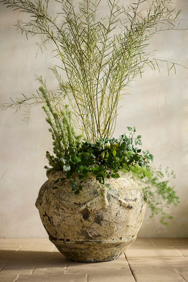 Barnacle Potpourri Planter #4