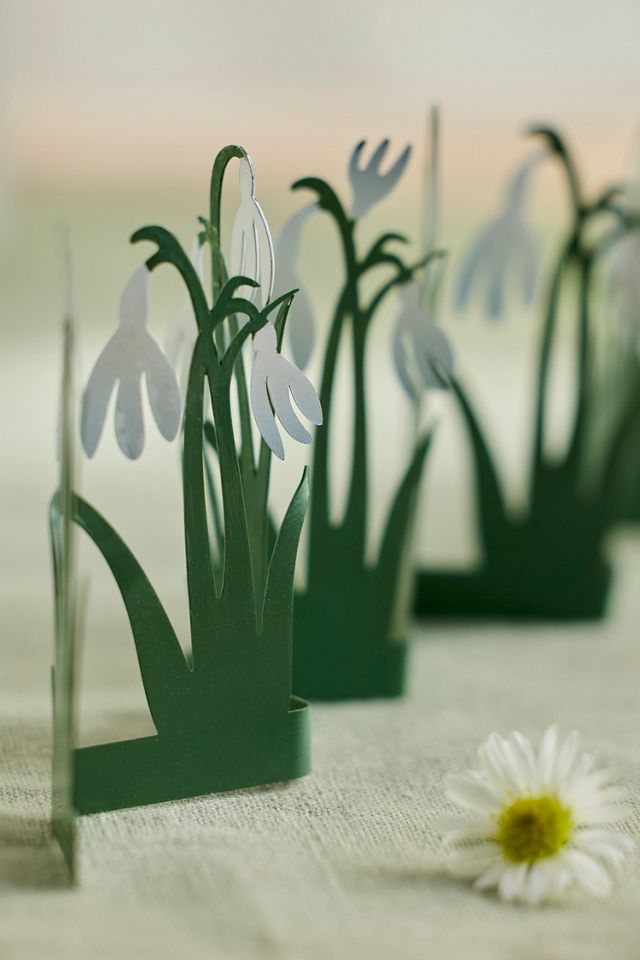 Concordville Spring Snowdrop Row #1