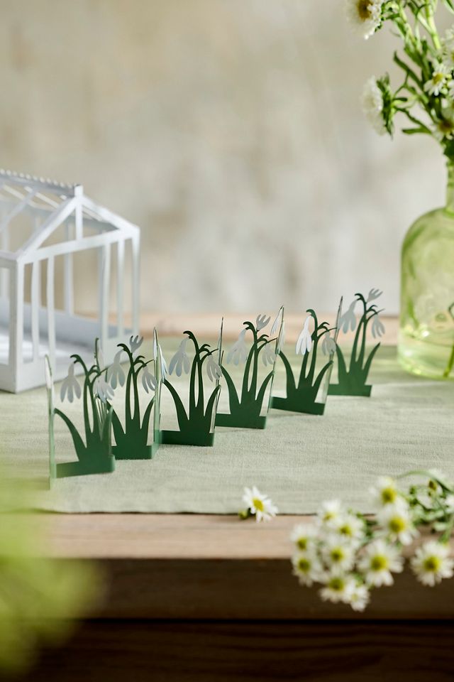 Concordville Spring Snowdrop Row | Anthropologie