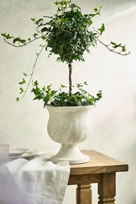 Terrain at Anthropologie | Anthropologie