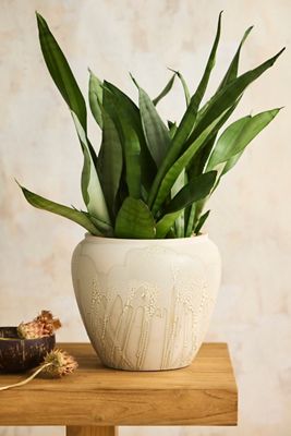 Terrain at Anthropologie | Anthropologie