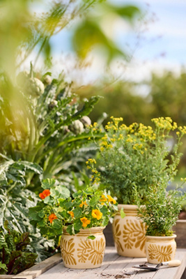 Indoor Planters | Terrain
