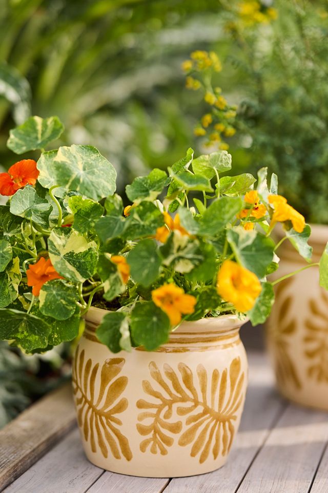 Honey Pot Ceramic Planter #1