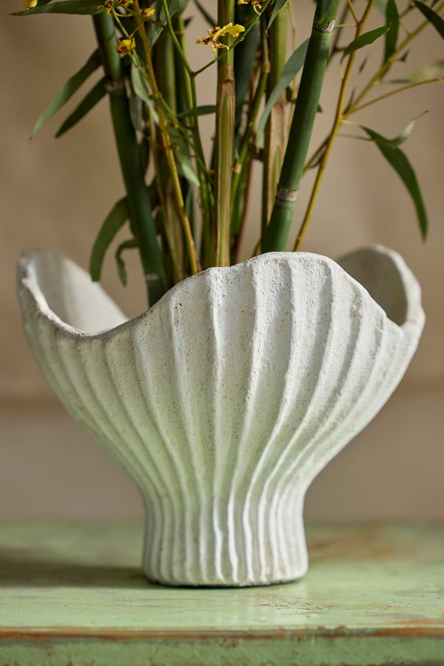 Terracotta Scallop Shell Bowl Planter #1