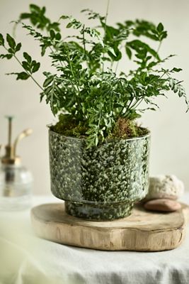 Lua Earthenware Planter