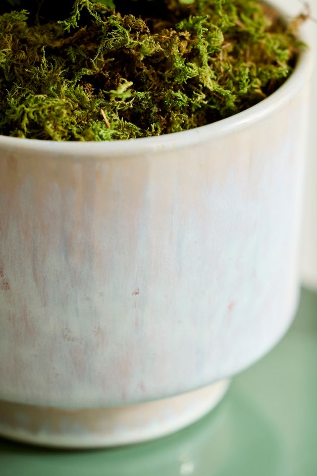 Lua Earthenware Planter #1