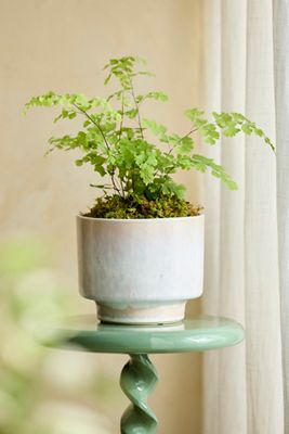 Lua Earthenware Planter