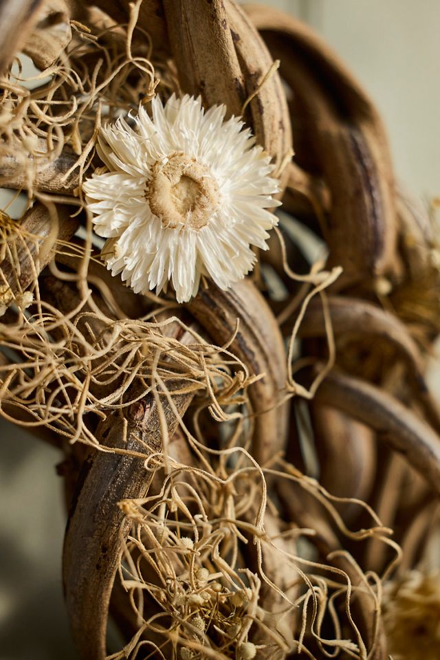 Liana Wood + Strawflower Dried Wreath #1