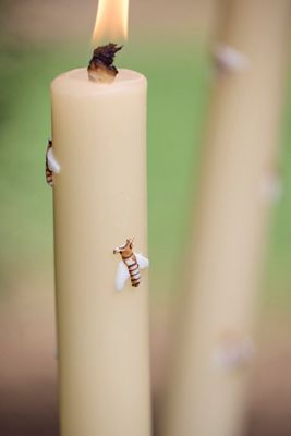 Bug Citronella Torch Candle