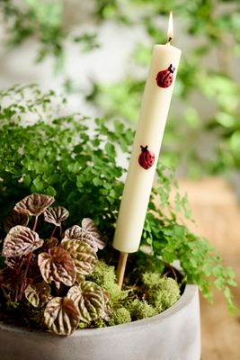 Bug Citronella Torch Candle