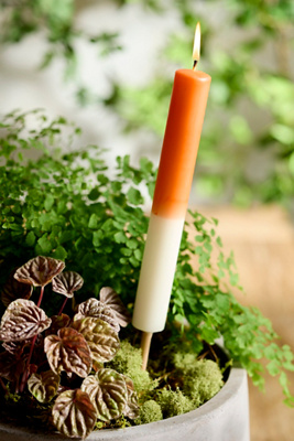 Terrain Ombre Citronella Torch Candle
