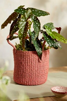 All Sale | Best Sale Products | Anthropologie