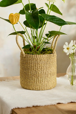 Woven Abaca Basket Pot, Yellow | Terrain