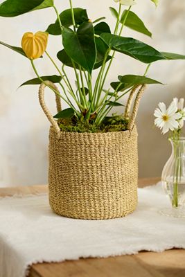 hanging plants holders Macrame Plant Holder  LV Home and Outdoor