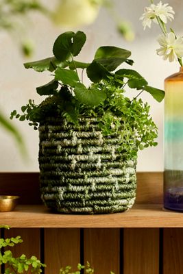 Floral Abaca Basket Pot | Terrain