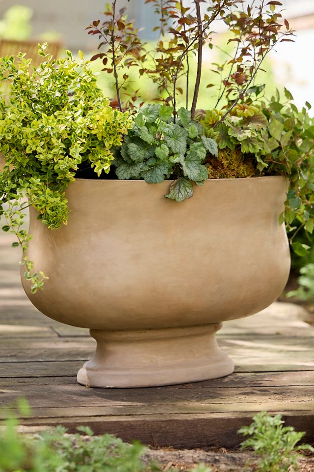 Torino Concrete Oval Planter | Anthropologie