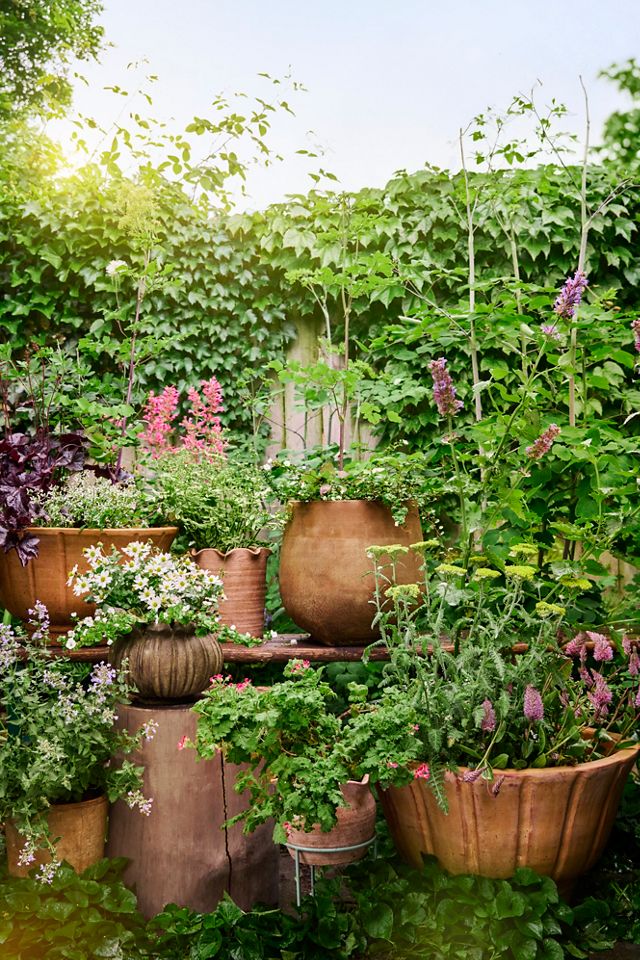 Petal Terracotta Planter #1