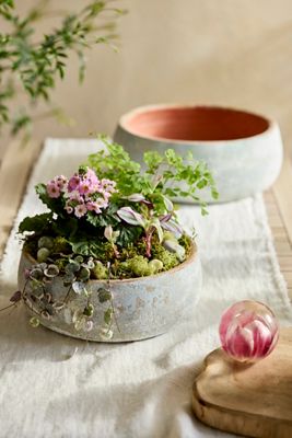Canyon Blue Ceramic Bowl Planter
