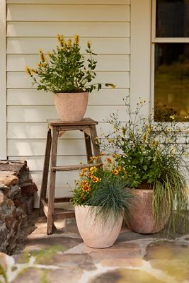 Canyon Ceramic Egg Planter