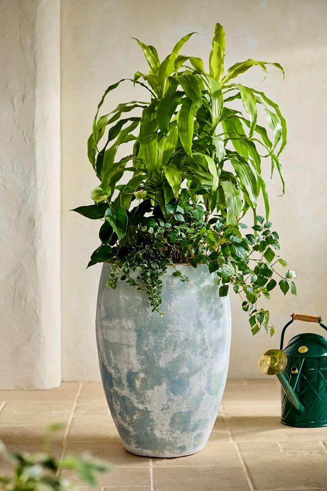 Canyon Blue Ceramic Tall Egg Planter #5