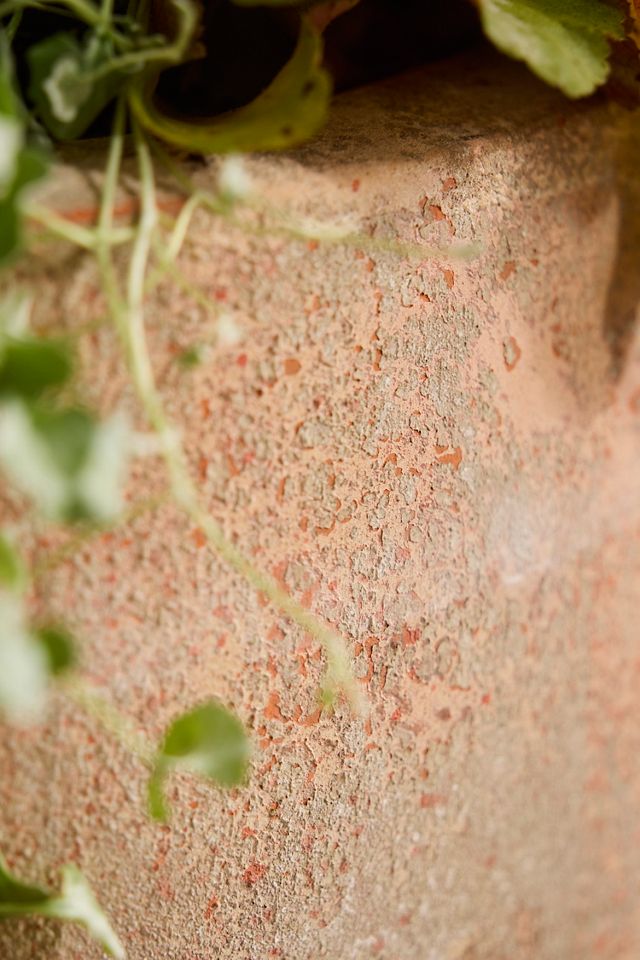 Canyon Ceramic Tall Egg Planter #1
