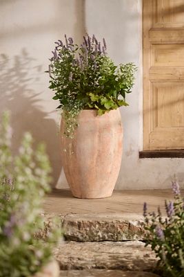 Canyon Ceramic Tall Egg Planter