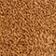 Fawn Suede