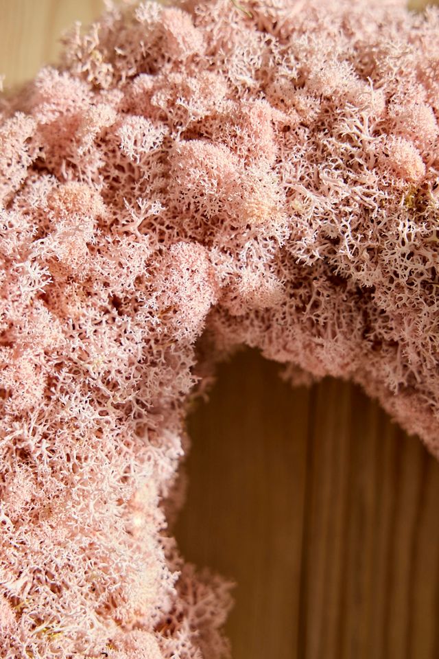 Pastel Reindeer Moss Heart Wreath #1