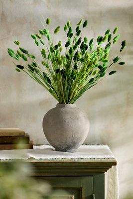 Painted Phalaris Bunch