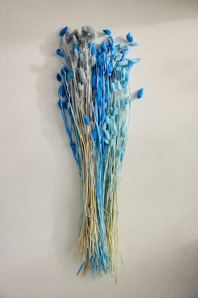 Painted Phalaris Bunch #2