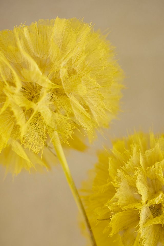 Crafted Botanical Pastel Dandelion Stems, Set of 5 #2