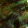 GREEN MOTIF