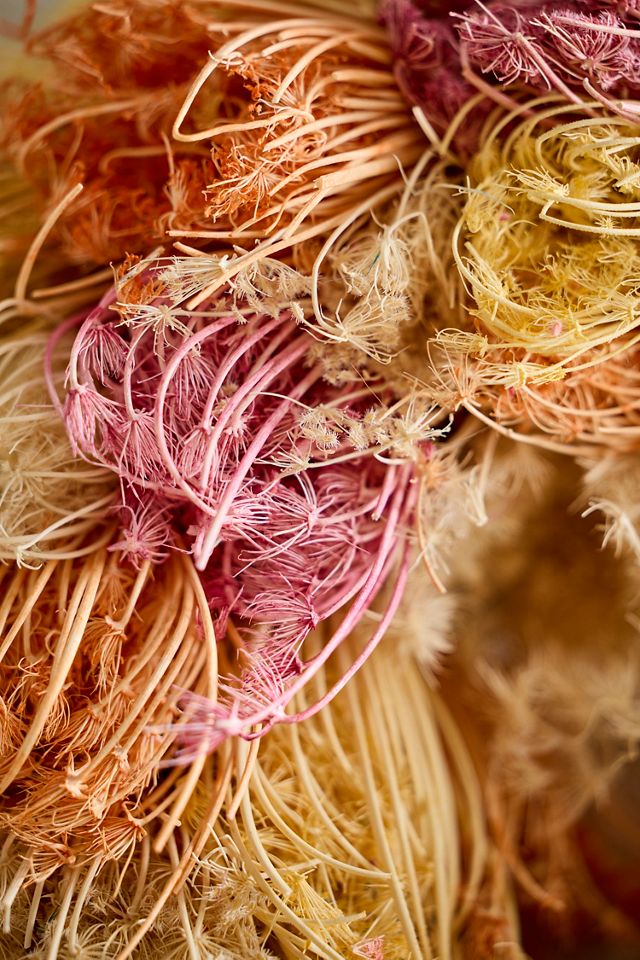 Sunrise Dill Dried Wreath #1