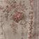 Vintage Victorian Stripe