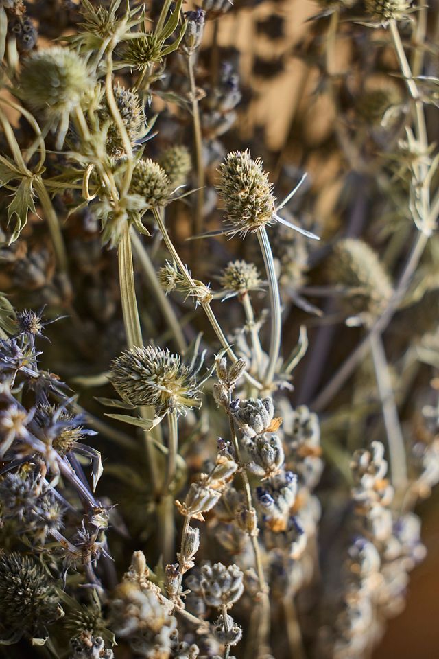 Lavender + Sea Holly Dried Wreath #1