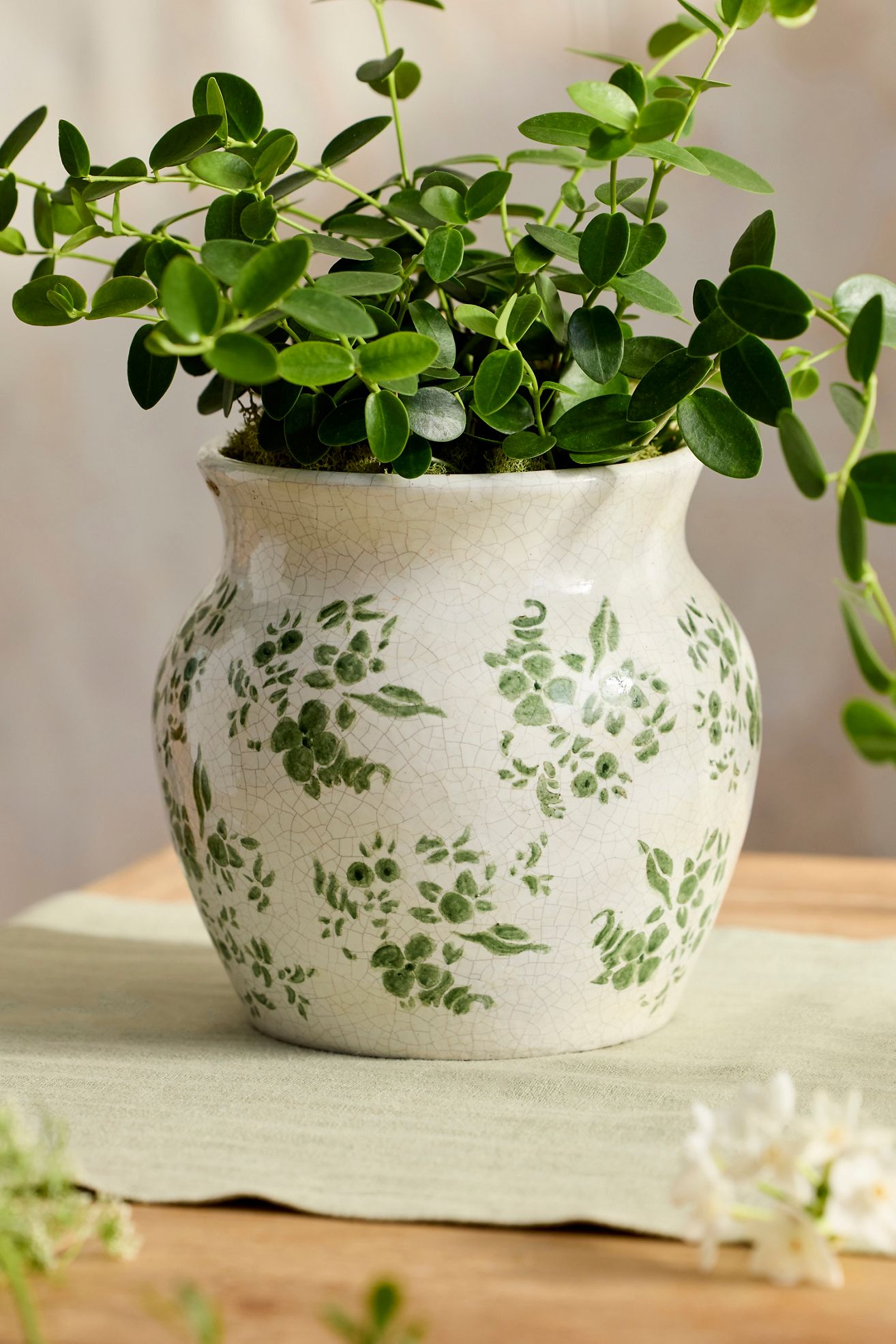 Green Chinoiserie Terracotta Jar Planter - Green Floral, Standard, 4.5 "