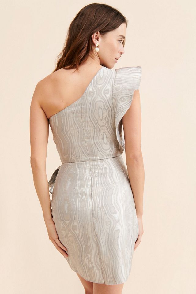 Saylor Ann Mini Dress #1