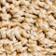 Neutral Pattern