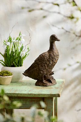 Cast Iron Duck