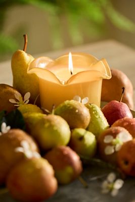 Botaniculture Magnolia Candle